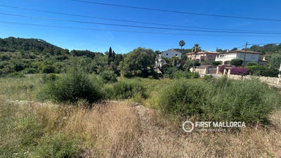 /international/es/1a-carrer-de-les-alzineretes-calvia-balearic-islands-310108482466/