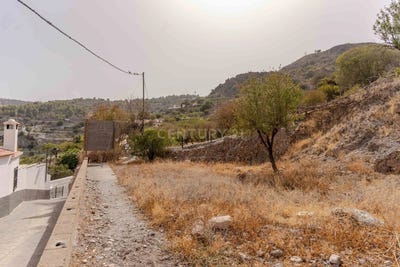 /international/es/gualchos-andalusia-310101356400/