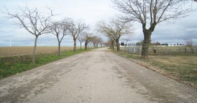/international/es/villarrubia-de-santiago-castile-la-mancha-310105744622/