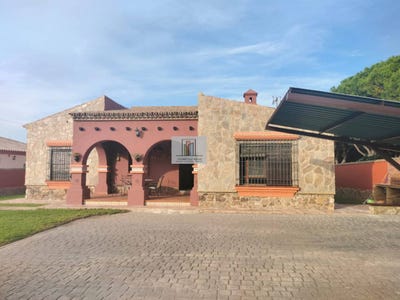 /international/es/rana-verde-chiclana-de-la-frontera-andalusia-310108133104/