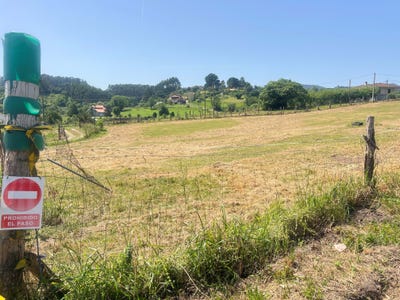 /international/es/al-cangueta-la-castrillon-asturias-310108482786/