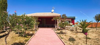 /international/es/pulgar-castile-la-mancha-310105739642/