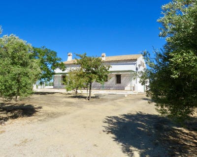 /international/es/osuna-andalusia-310102716057/