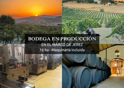 /international/es/carretera-del-calvario-jerez-de-la-frontera-andalusia-310107701694/