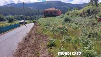 /international/es/boiro-galicia-310104335583/