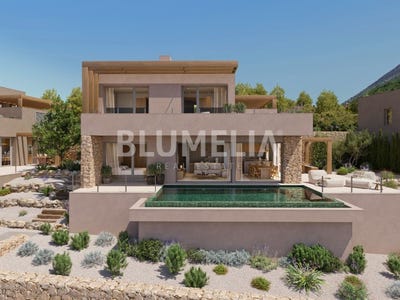 /international/es/lliber-valencian-community-310109485968/