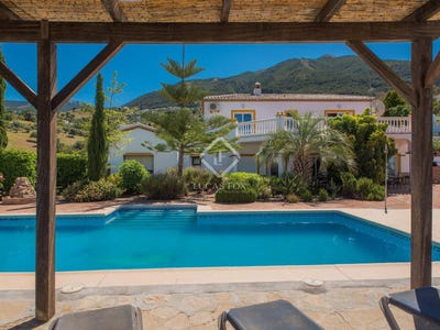 /international/es/alcaucin-andalusia-120092806741/