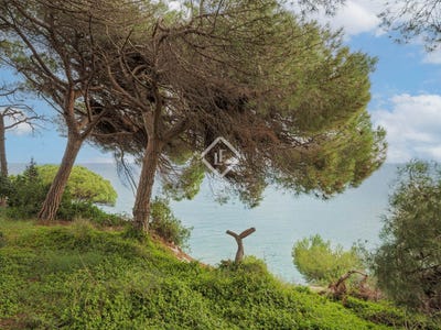 /international/es/arenys-de-mar-catalonia-310096030752/