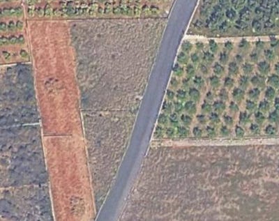 /international/es/beniteixir-la-font-d-en-carros-valencian-community-310108368804/