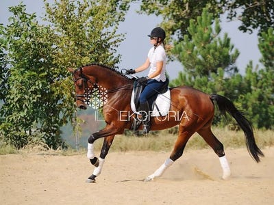 /international/es/ribarroya-castile-and-leon-310108676697/