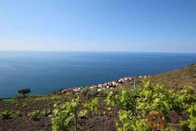 /international/es/salobrena-andalusia-310104500405/