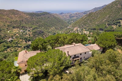 /international/es/ojen-andalusia-310101415851/