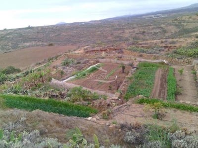 /international/es/arico-canary-islands-310102262978/