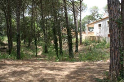 /international/es/calonge-catalonia-310108133684/