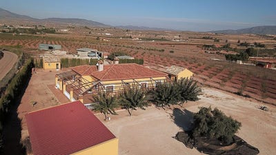 /international/es/pinoso-valencian-community-310108997343/