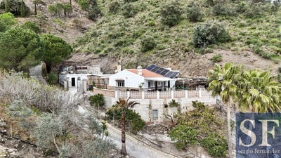 /international/es/sayalonga-andalusia-310107431490/