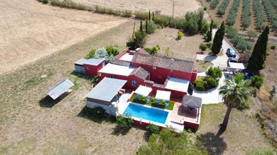 /international/es/coin-andalusia-310100387605/