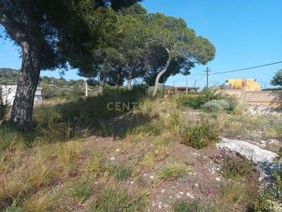 /international/es/roda-de-bara-catalonia-310107236289/