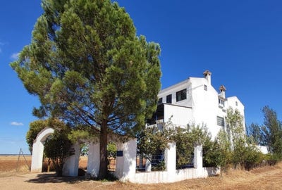 /international/es/castellanos-de-villiquera-castile-and-leon-310105739940/