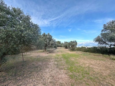 /international/es/carrer-de-sant-miquel-asco-catalonia-310106775072/
