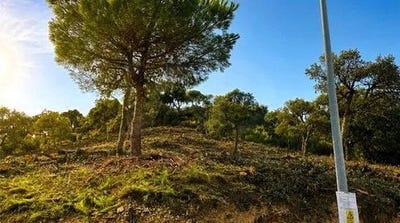/international/es/carrer-de-bellmunt-lloret-de-mar-catalonia-310119645834/