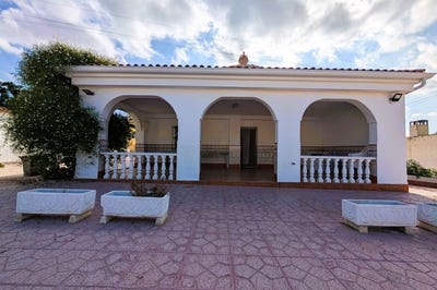 /international/es/elche-valencian-community-310108900433/?lang=es