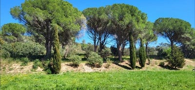 /international/es/sant-climent-sescebes-catalonia-310107432178/