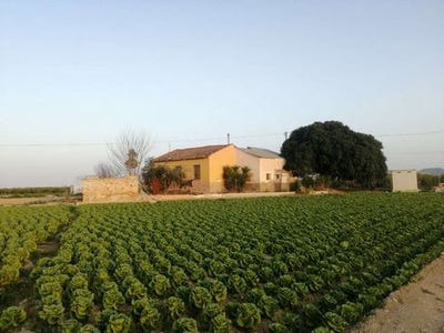 /international/es/orihuela-valencian-community-310101515823/?lang=zh-tw