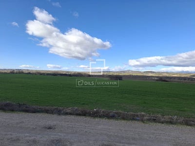 /international/es/talamanca-del-jarama-madrid-310106018260/