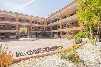 /international/es/brenes-andalusia-310100710490/