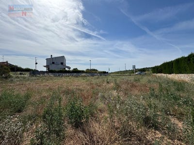 /international/es/la-bisbal-del-penedes-catalonia-310100011670/