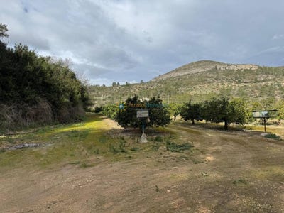 /international/es/beniganim-valencian-community-310109169922/