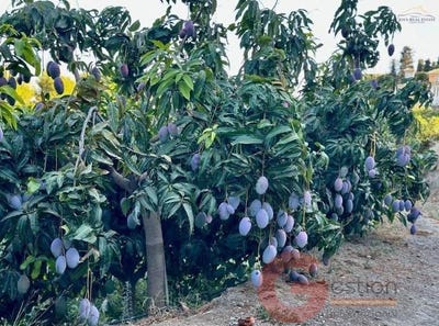 /international/es/salobrena-andalusia-310105824026/