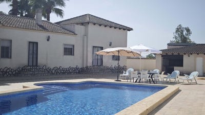 /international/es/catral-valencian-community-310107922419/
