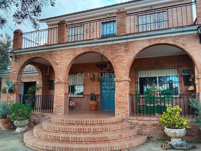 /international/es/palma-del-rio-andalusia-310099681214/