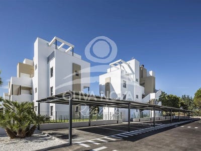 /international/es/oliva-valencian-community-310107025536/