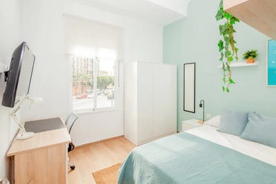 /international/es/carrer-cadis-valencia-valencian-community-310093833490/