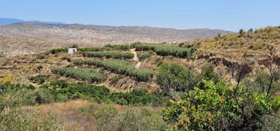 /international/es/carretera-a-348-illar-andalusia-310108373421/