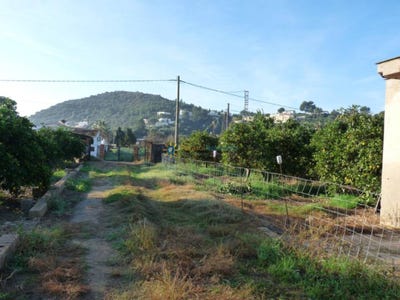 /international/es/oliva-valencian-community-310107491098/