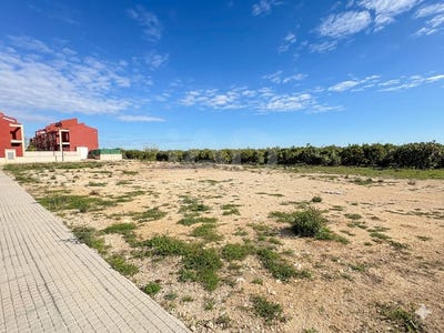 /international/es/carrer-del-pou-palmera-valencian-community-310106857514/