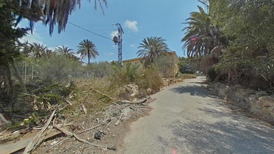 /international/es/elche-elx-valencian-community-310103021528/