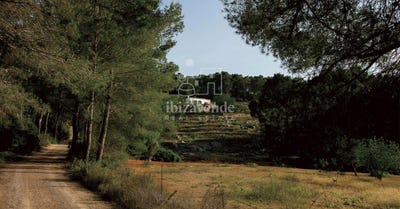 /international/es/sant-joan-de-labritja-balearic-islands-310101862784/
