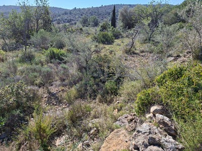 /international/es/partida-coll-d-en-piquer-ulldecona-catalonia-310105943608/