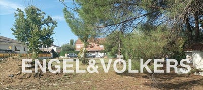 /international/es/fuente-el-saz-de-jarama-madrid-310094939975/?lang=zh-tw