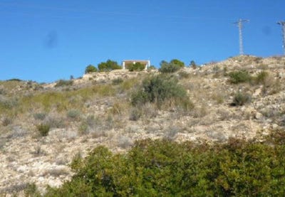 /international/es/san-vicente-del-raspeig-sant-vicent-del-raspeig-valencian-community-310102107186/