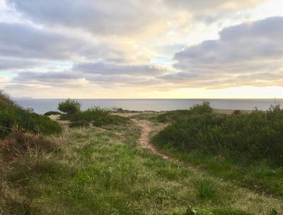 /international/es/vallgornera-balearic-islands-310103665341/