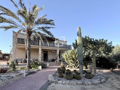 /international/es/elche-valencian-community-310105253065/