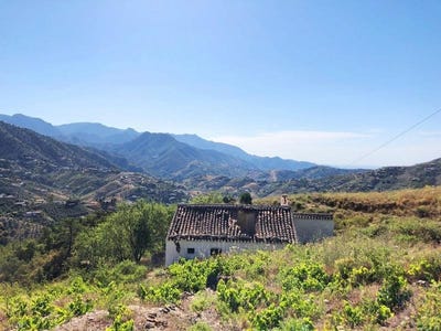 /international/es/competa-andalusia-310101533356/