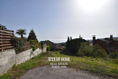 /international/es/teia-catalonia-310106068517/