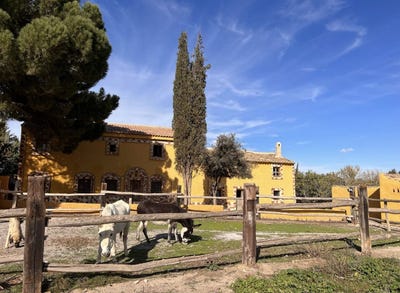 /international/es/caniles-andalusia-310119736638/
